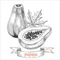 Papaya whole and half engraving stile